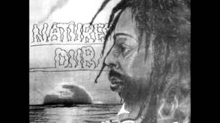 Bullwackies All Stars -  Natures dub - Album