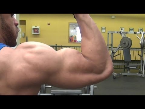 TMW: Hodgetwins Chest & Arms Workout @hodgetwins