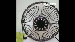 Download lagu Ditinggal Mentah Mentah mp3