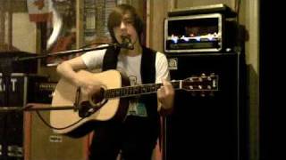 Sunflower &quot;Mandy K&quot;