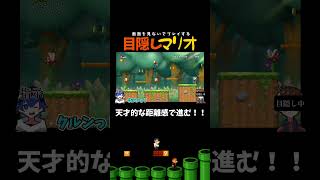 見てないのにジャンプｗｗｗ【目隠しマリオ】