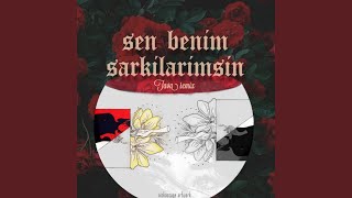 Sen Benim Şarkılarımsın (Sina Tava Remix)