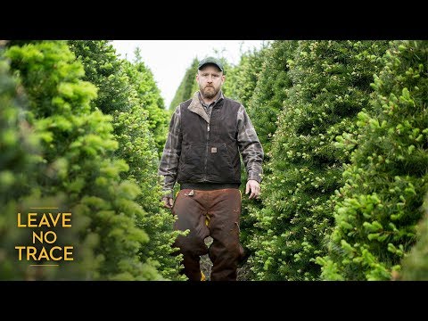 Leave No Trace (TV Spot 'Fresh Review')