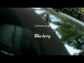 Maruthi Suzuki 800 Promo Deby Frames ️