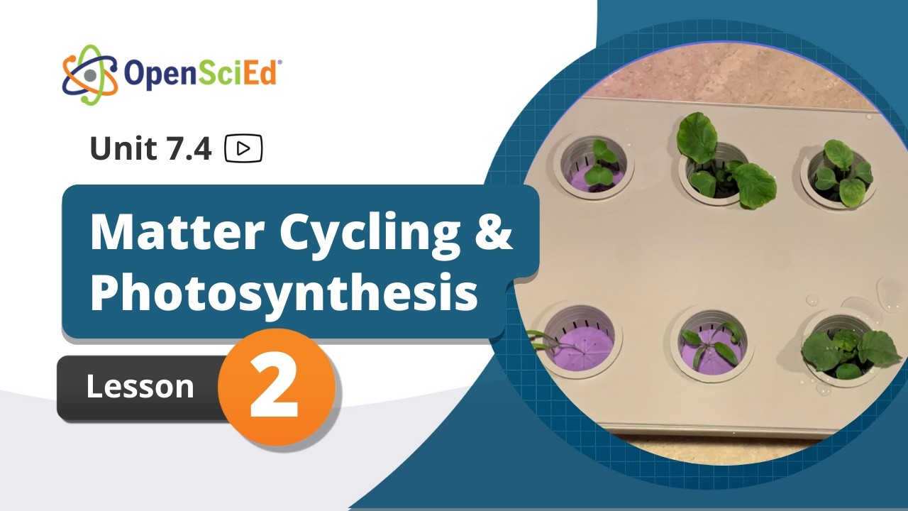 Unit 7.4 Lesson 2 Planning Video | OpenSciEd On-Demand Resources