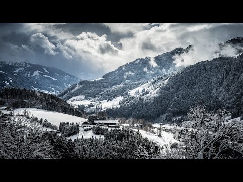 Vadim Pomotaru - O ce bucurie s-a făcut