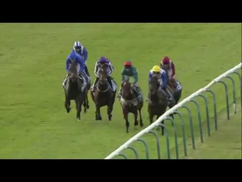 2014 Dubai Dewhurst Stakes - Belardo