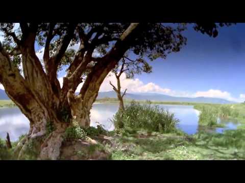 Le Premier Cri   Armand Amar & Sandrine Piau