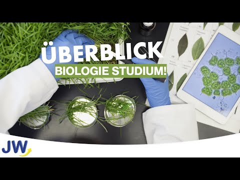 Das Studium der Biologie im Überblick!