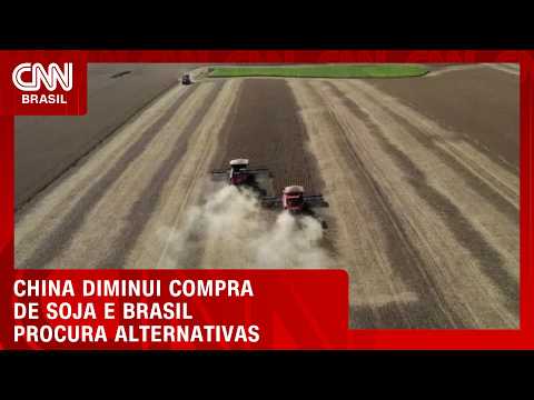 Sem China, Brasil terá que achar novos mercados para a soja; veja no Conexão Agro | CNN PRIME TIME