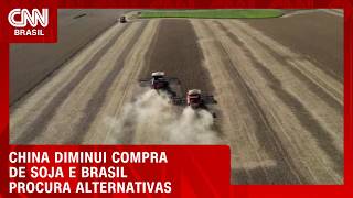 Vídeo: Sem China, Brasil terá que achar novos mercados para a soja; veja no Conexão Agro | CNN PRIME TIME