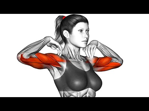8 Mins Toned Arms Workout (quick & intense at home)