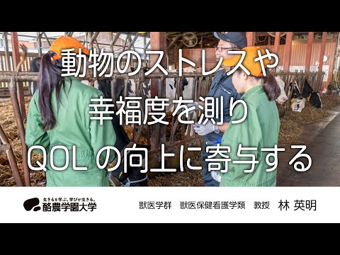 先端経営学科 獣医保健看護学類　林　英明　｜　酪農学園大学　研究室・ユニット紹介