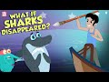 What If Sharks Disappeared? | Extinction Of Sharks | The Dr Binocs Show | Peekaboo Kidz