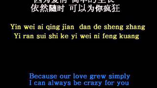 因为爱情( 歌词 / 拼音)/Because of LOVE ( pinyin / Lyrics )