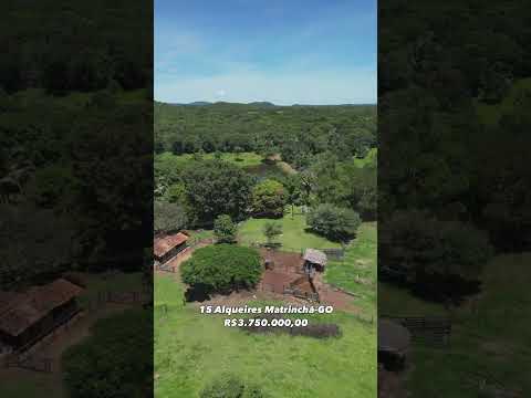 Vendo fazenda em Matrinchã-GO R$3.750.000,00📲62984033151 César Oliveira #fazendaavenda #fazenda