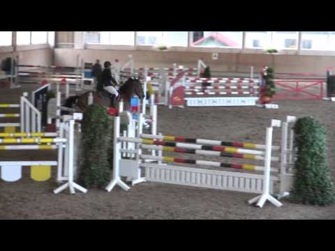 Holsteiner, Quintero x Ronald, M*