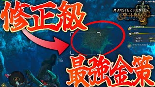【モンハンワイルズ検証】修正確定！？捕獲用ネットの硬直キャンセル裏技で金策周回してみたらヤバすぎたwww