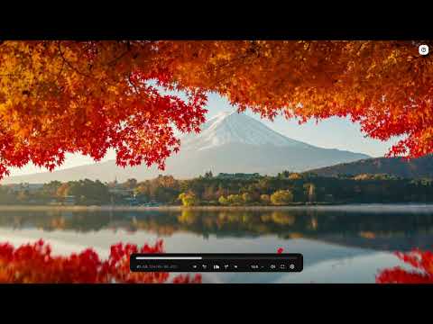 Marie Rottrová- Skořápky ořechů (DZONY REMIX BY AI)