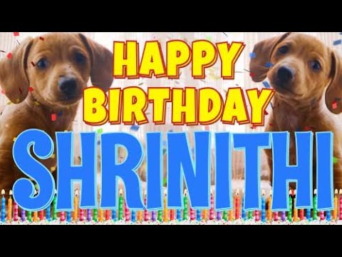 Happy Birthday Shrinithi! ( Funny Talking Dogs ) What Is Free On My Birthday