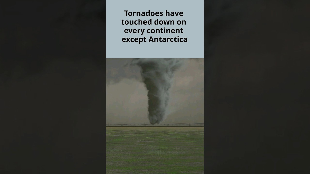 Tornado Facts