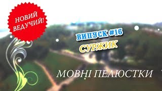 Мовні пелюстки. Випуск #16. СУРЖИК.