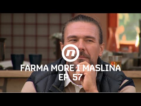 Zaiskrilo između Maje i Saše - Epizoda 57 | Farma More i Maslina
