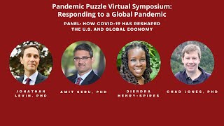 How COVID-19 has Reshaped the U.S. and Global Economy | The Pandemic Puzzle: Lessons from COVID-19