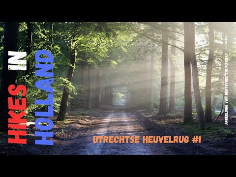 Hikes in Holland | Utrechtse Heuvelrug | #1 Huizen | Hilversum | Soesterberg