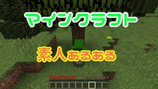 【マイクラ素人あるある】中の人が１時間ちょいで作った謎動画です