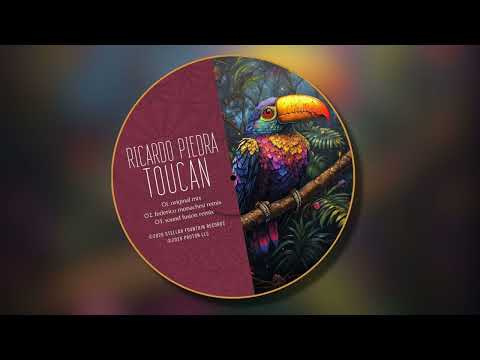 Ricardo Piedra - Toucan [Stellar Fountain]
