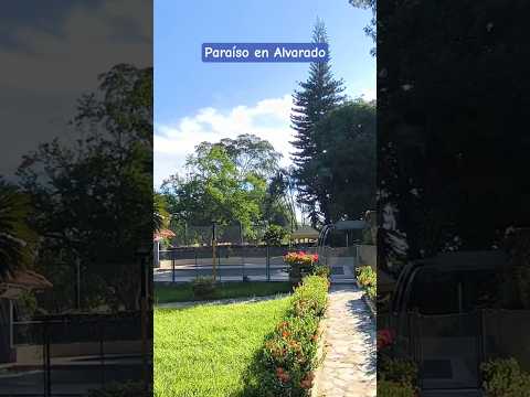 Paraíso en Alvarado #shorts