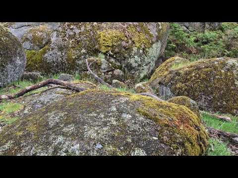Big boulders at Bailey's Rocks, off the Apsley-Casterton road, in Dergholm State Park, Victoria