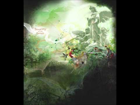 The Flowerball Project - Our Arboreal Home [Sonosophy of the Forests]