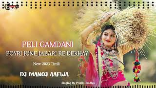 Download lagu Peli Gamdani Poyri Jone Jabari Re Dekhay (New 2023 Timli) Dj Manoj Aafwa & Pratik Dhodiya mp3
