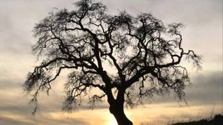 The Monkees -  I want to be free