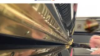 Kamado Tanjiro no Uta-鬼滅の刃(YAMAHA YU121DS琴聲試範)