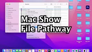 How to Copy File Path on MacBook! (Quick)