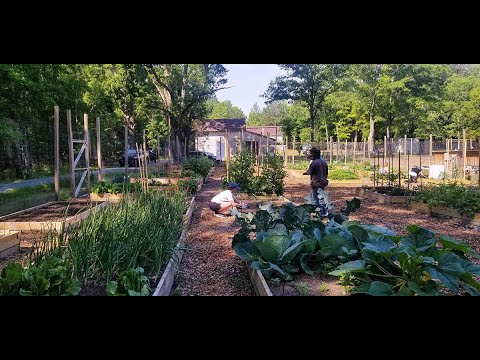 Sylvester Baxter Lecture: Kofi Boone, “Recognition, Reconciliation, Reparation”