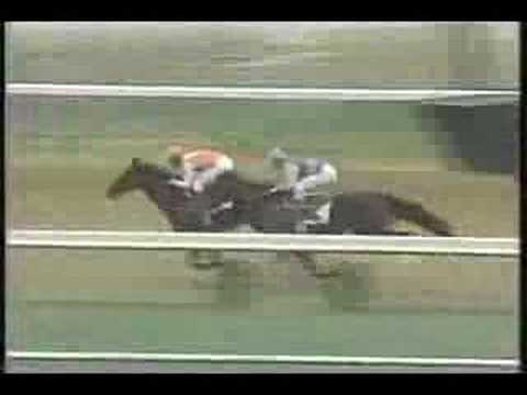 Housebuster Derby Trial 1990  Sprinter Champion