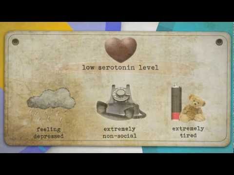 MDMAはあなたの脳に何をしているのか (What MDMA is doing to your brain)