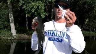 preview picture of video 'WILLIAMS POND DELAWARE SUMMER BASS'