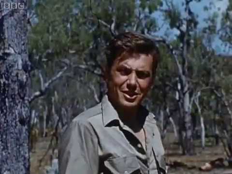 Quest Under Capricorn - Bush Walkabout (Episode 5)