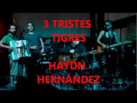 TRES TRISTES TIGRES (HAYDN HERNÁNDEZ EN EL DADA X)