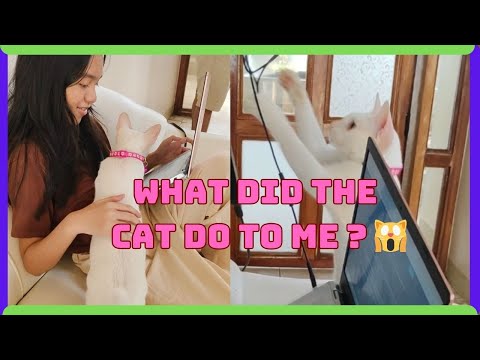 What did the cat do to me? | Charlyn Neri Vlogs