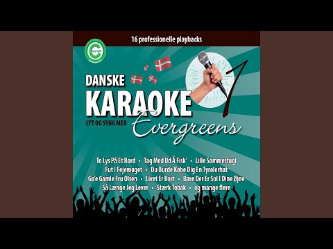 Så Længe Jeg Lever (Originalt Sunget af John Mogensen) (Karaoke Version)