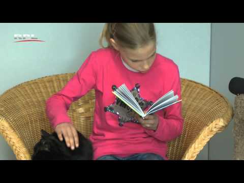 RPL TV Woerden - Reijerskop