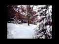 A Look Back At Chicago S Blizzard Of 2011