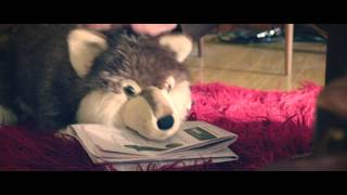 Liam Hayes - Fokus (Official Video)