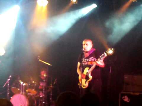 La Souris Déglinguée Sur La Muraille St Amand